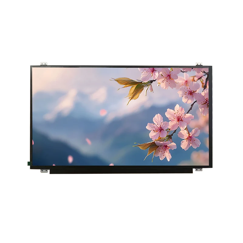15.6 'HD bred temp IPS TFT LCD -skjermmodul