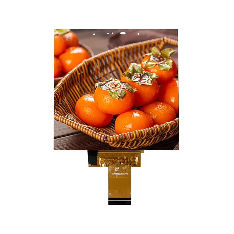 3,95 tommer liten størrelse IPS In-cell Touch Screen Module for Smart Home 3,95 tommer liten størrelse IPS In-cell Touch Screen Module for Smart Home