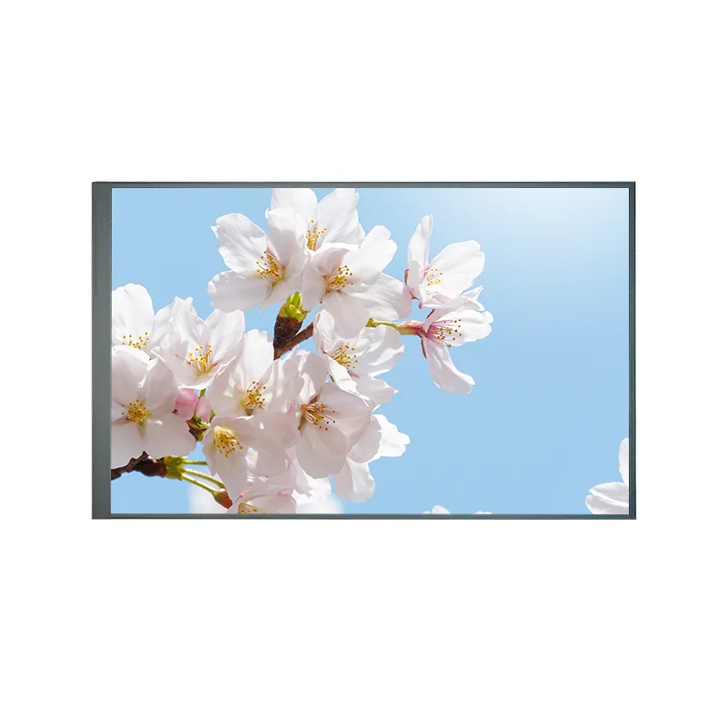 8,0 tommer normalt tilbake TFT IPS TFT LCD -skjermmodul